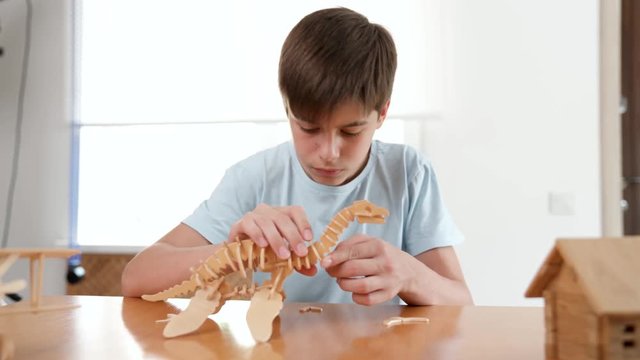 The boy constructs a dinosaur from wooden 3d puzzle. Very passionate about his work. Studio video shot of child hobby in 4K definition.