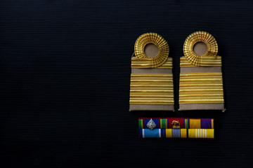 Sign Government officials of Thailand on black wood, Professional Level