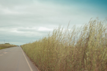 Fototapeta premium Céu e estrada