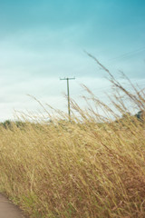 Obraz premium Blue Sky