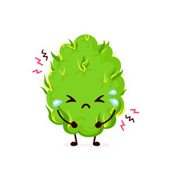 Cute sad cry scary paranoid marijuana 