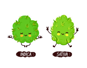 Happy cute smiling indica and sativa weed bud