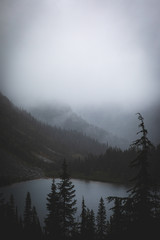 lake in fog