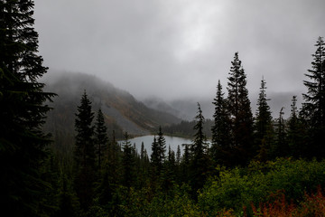 foggy morning in the mountains