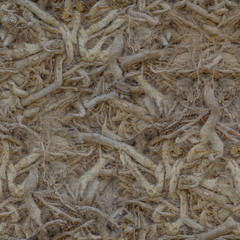 A large number of intertwined tree roots in place .Texture or background