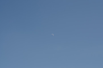 Obraz na płótnie Canvas lonely moon on a day blue sky