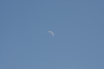 lonely moon on a day blue sky
