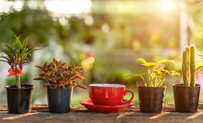Red coffee cup on wooden table morning nature light in garden concept