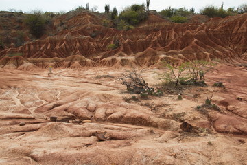 Landscape in the Tatacoa desert part El Cusco in Colombia