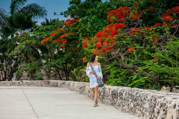 Fototapeta na wymiar Beautiful woman on white dress walking alone at the walls surrounding the colonial city of Cartagena de Indias