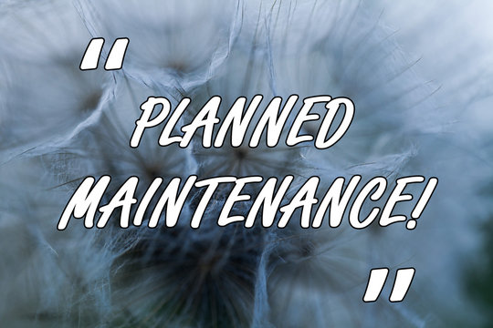Conceptual hand writing showing Planned Maintenance. Concept meaning Check ups to be done Scheduled on a Regular Basis Close up abstract dandelion seeds background Blowing away
