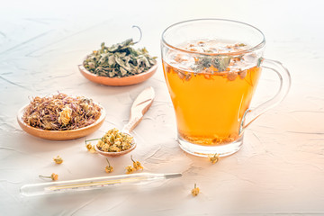 Herbal tea with pharmaceutical chamomile, dry chrysanthemum and hunters on a white table