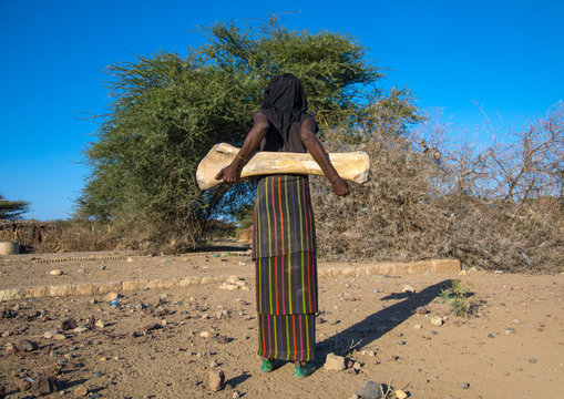 Rear view of an afar tribe woman with an elephant femur bone found in a dry river, Afar region, Chifra, Ethiopia