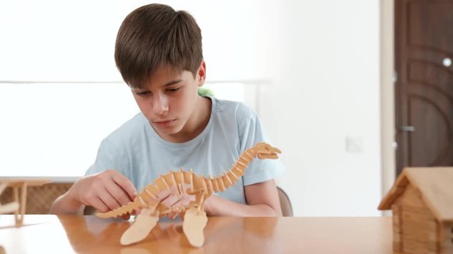 The boy constructs a dinosaur from wooden 3d puzzle. Very passionate about his work. Studio video shot with very smooth dolly pan of child hobby in 4K definition.