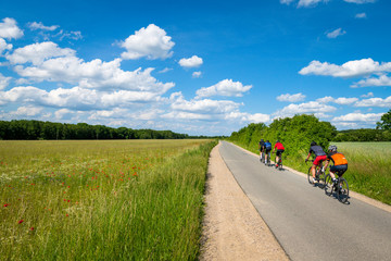 kleine Gruppe Radfahrer trainiert in schöner Landschaft auf einer Landstraße im Sommer. Am Wegesrand blühen bunte Blumen - obrazy, fototapety, plakaty