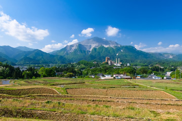 秩父 横瀬町 寺坂棚田 5月