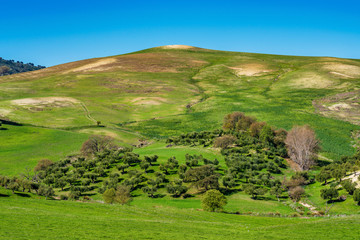 Landscape of Madrigueras in Sierra de Grazalema, Andalusia, Spain.