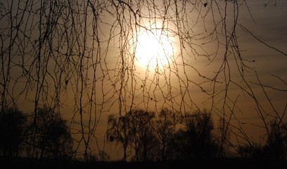 Evening Dusk Impressions from Brandenburg of January 15, 2007, Germany