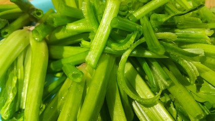 Close up view of lush green leaves base of spinach or paalak saag