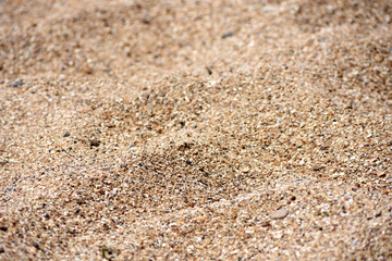  Texture of a golden sandy beach, sand boulders