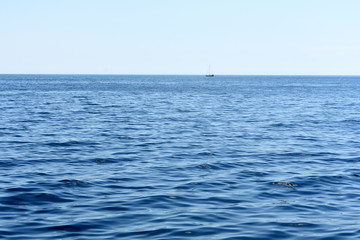 Obraz premium Seascape, boat in the sea opposite the horizon