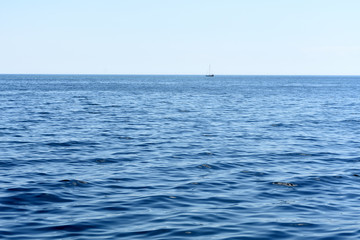  Seascape, boat in the sea opposite the horizon