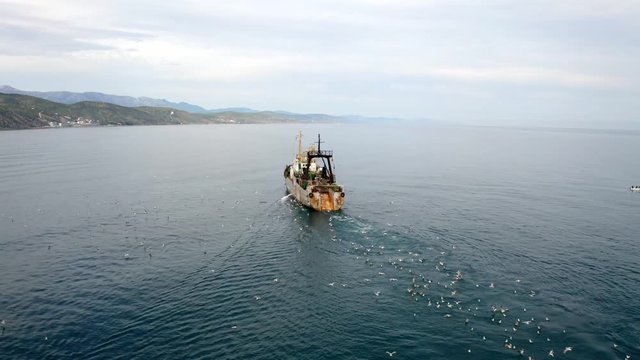 Aerial timelapse of seagull birds following a large commercial trawler