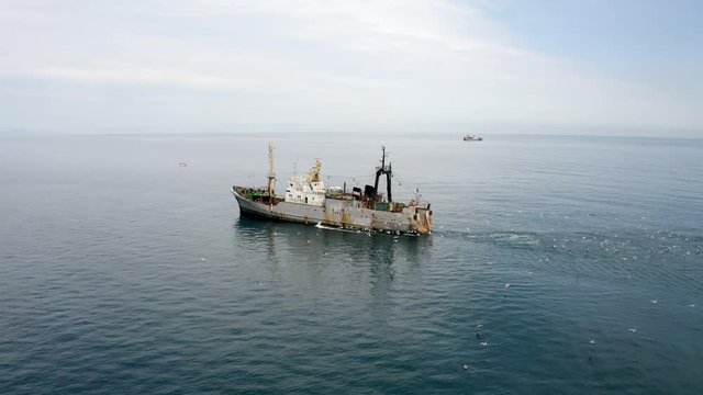Aerial of a large fishing trawler being followed by seagull birds