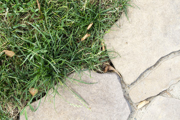 Paving relief under natural stone and green grass