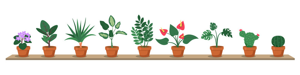 House plants in pots standing on shelf flat vector illustration