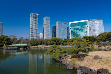 浜離宮恩賜庭園 潮入の池