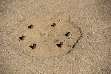 Reinforcement from the place of fastening of columns in asphalt