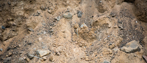 Horizontal background of industrial sand with stones, soft focus