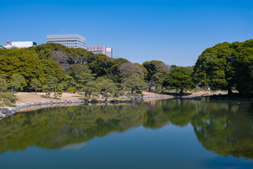 浜離宮恩賜庭園 横堀