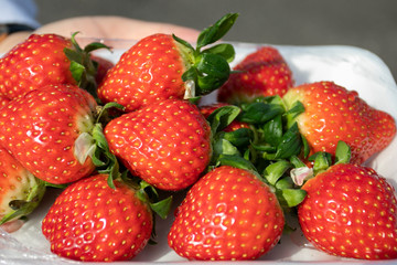 Fresh strawberries in Jeju Island, South Korea.
