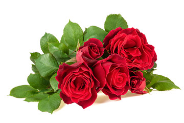 fresh red roses bouquet isolated on white background
