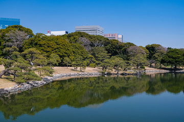 Fototapeta premium 浜離宮恩賜庭園 横堀