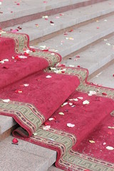 red carpet on the steps, flower petals, color photography