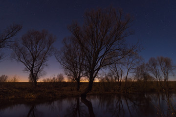Fototapeta na wymiar Tree by the river starry night in the moonlight