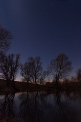 Obraz na płótnie Canvas Tree by the river starry night in the moonlight