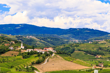 Stormy day in the vineyards of Brda, Slovenia