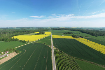 Green agricultural landscape in countryside of Latvia.