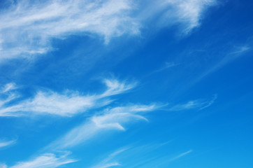 Obraz premium blue sky background with white clouds