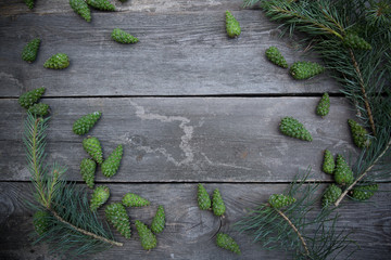 Green pine cone. Pine cone on grey old wood table background
