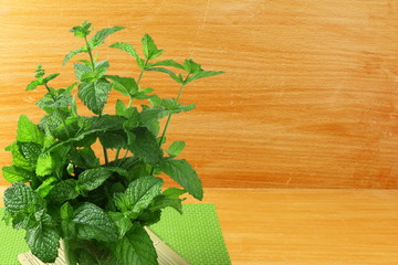 fresh  mint leaves mentha piperita leaves herb isolated in wooden background