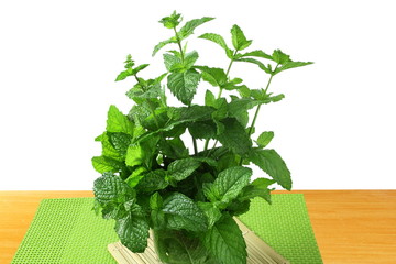 fresh  mint leaves mentha piperita leaves herb isolated in white background