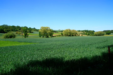 Blick über das Heckengäu bei Weissach mit seinen Felder, Wiesen und Streuobstwiesen 