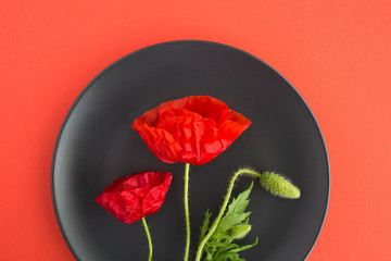 Red poppies on the black plate on the red background.Top view.Spring or summer flowers concept.Closeup.