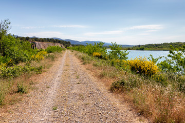Fototapeta na wymiar Path and yellow brooms on the side of Durance river in Provence France