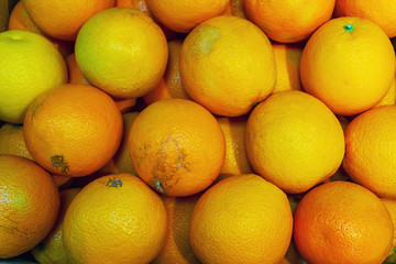 ripe oranges in the shop on the counter